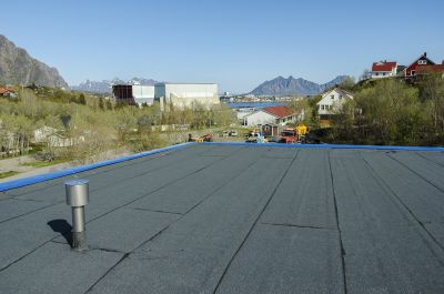 Best Industrial Roof Contractors Contractors in Flowery Branch, GA